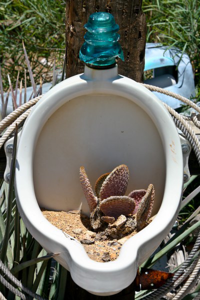 Impressionen am Hackberry Store