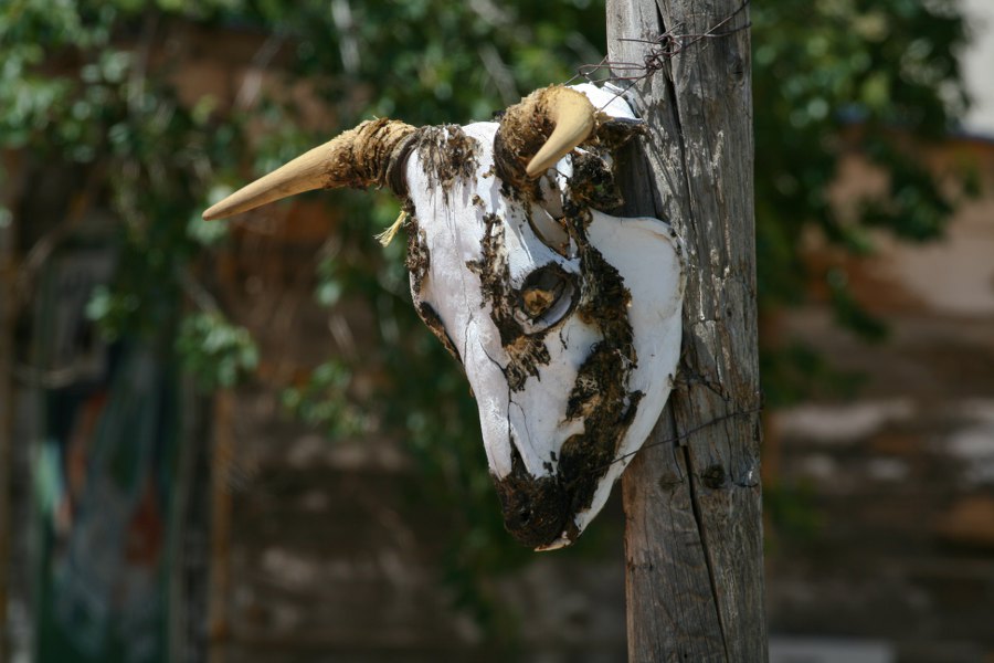 Impressionen am Hackberry Store