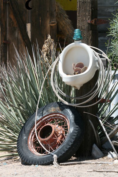 Impressionen am Hackberry Store