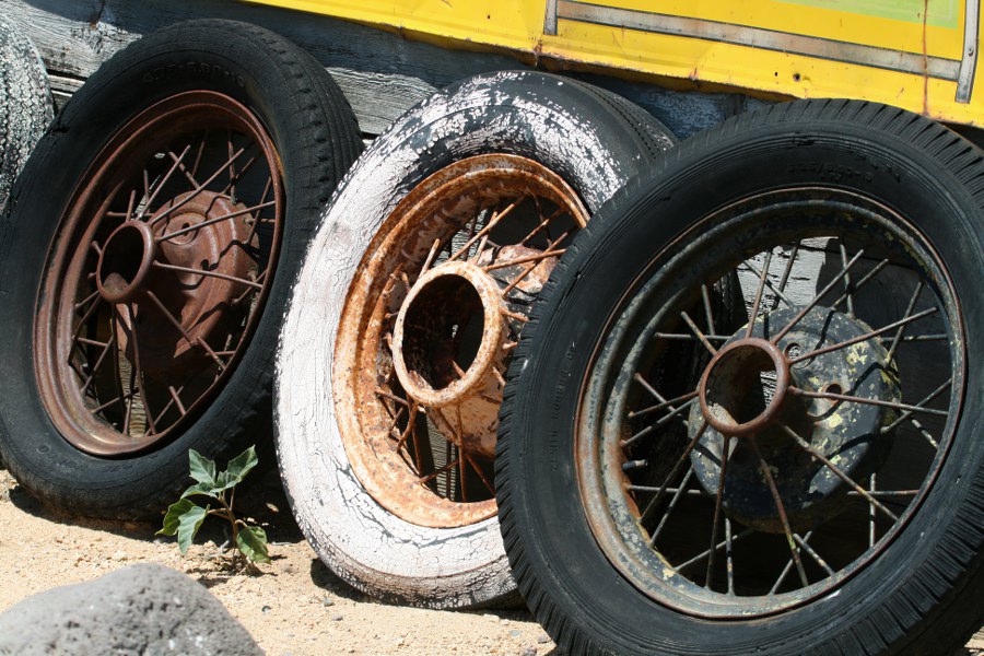 Impressionen am Hackberry Store