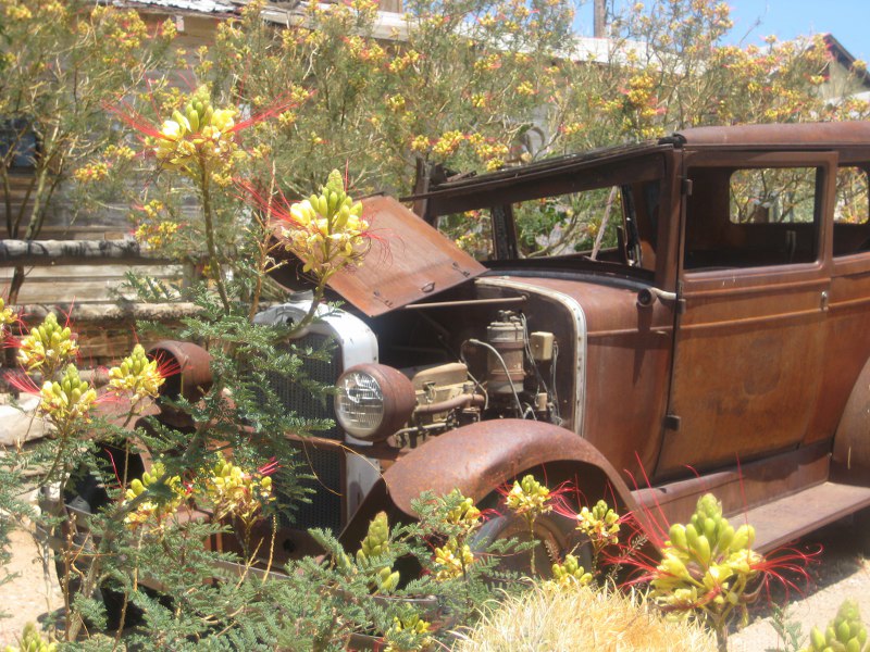 Impressionen am Hackberry Store