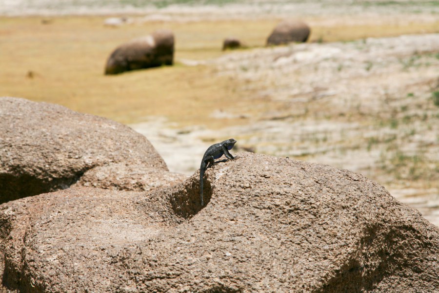 Wanderung von Petra und Svenja zum Barkers Dam