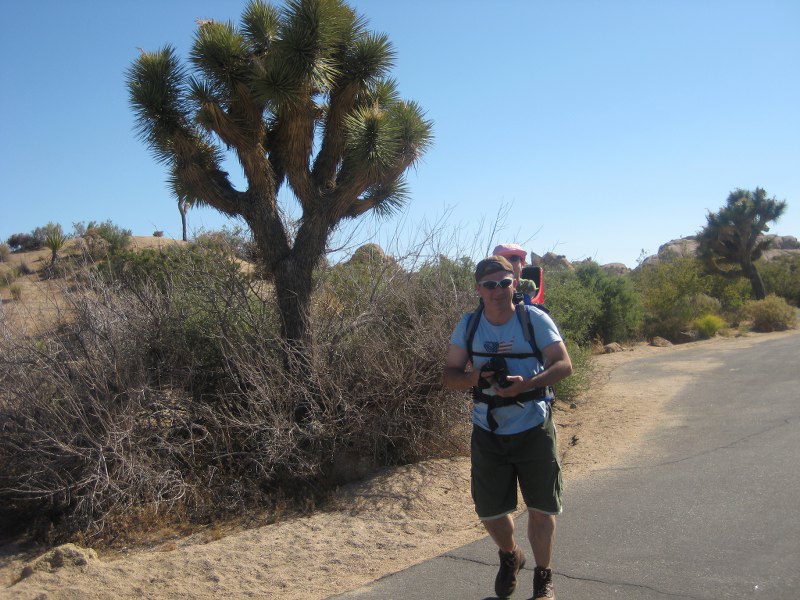 Auf der Wanderung vom Jumbo Rock CG zum Skull Rock