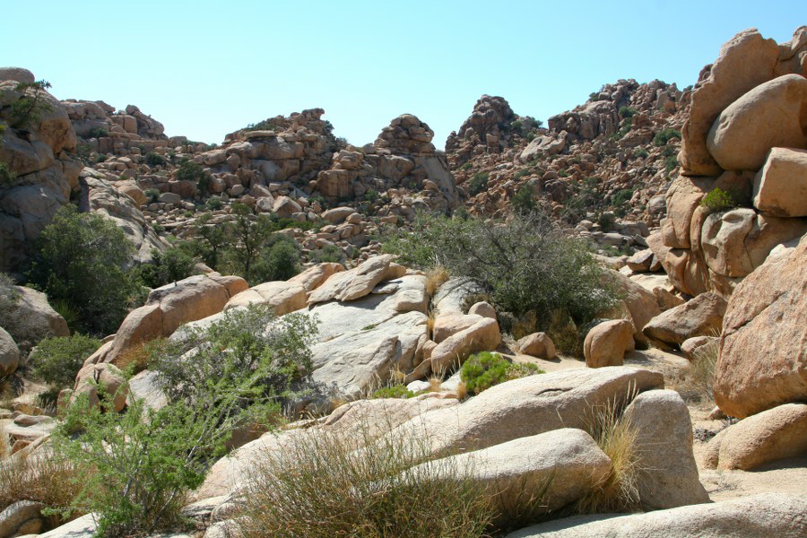 Joshua Tree NP: Im Hidden Valley