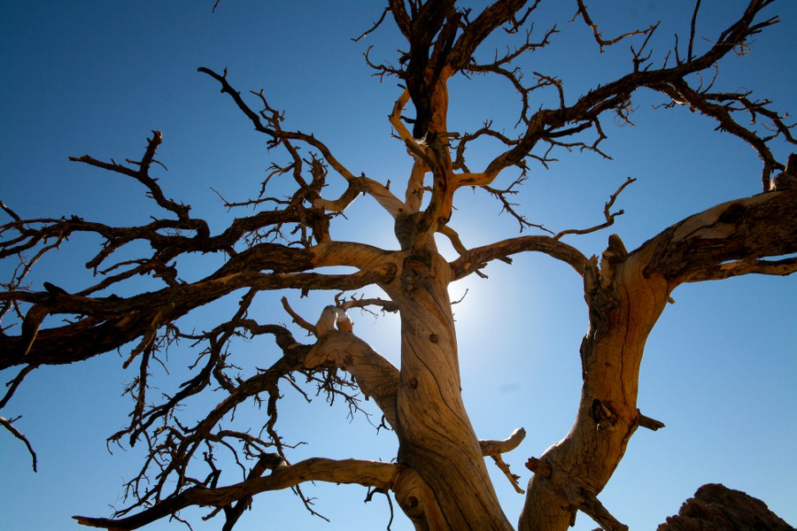Joshua Tree NP: Im Hidden Valley