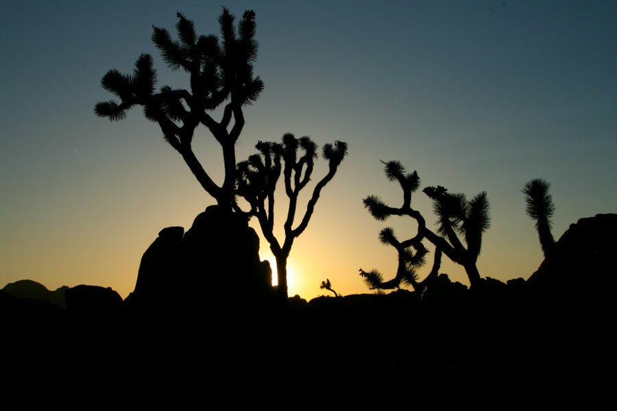 Abendstimmung am Hidden Valley Campground