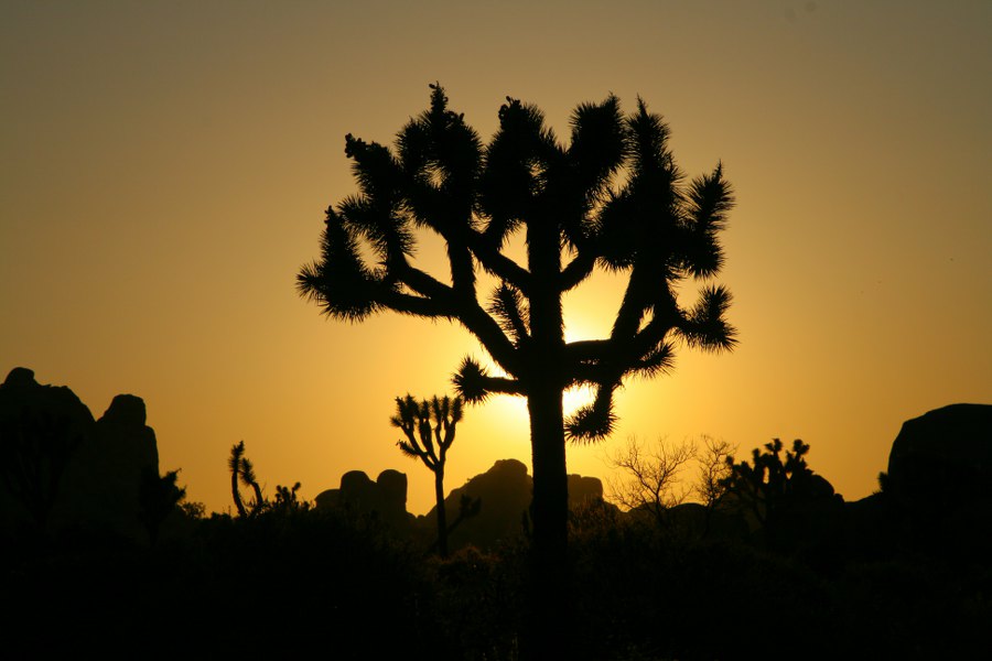 Abendstimmung am Hidden Valley Campground