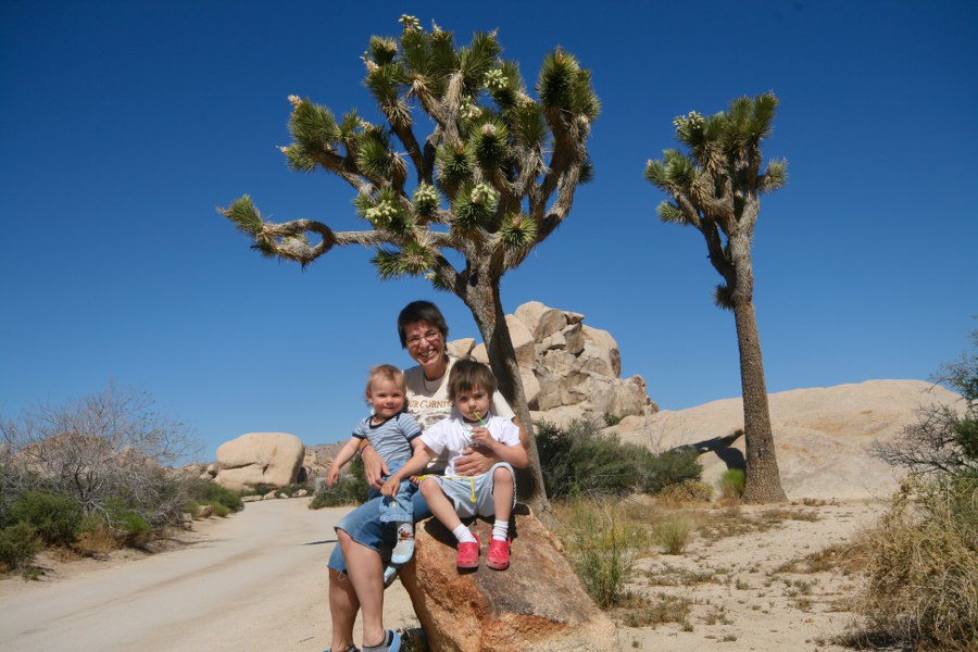 Morgendliches Familienbild im Joshua Tree NP