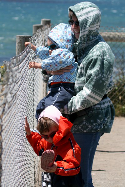 Es windet ganz schön