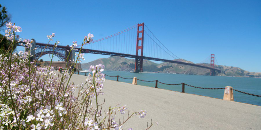 Die Golden Gate Bridge