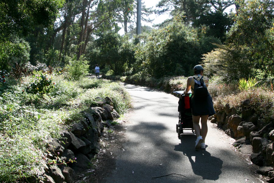 Im Golden Gate Park