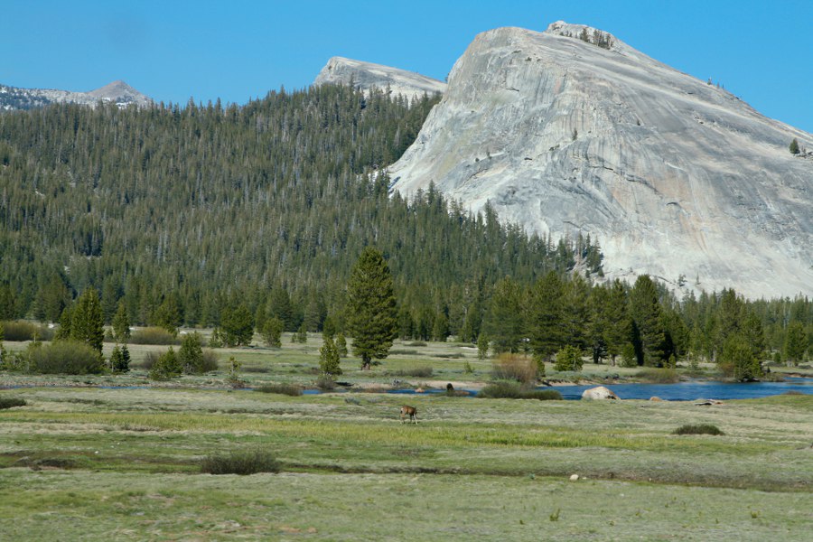 Die Tuolumn Meadows
