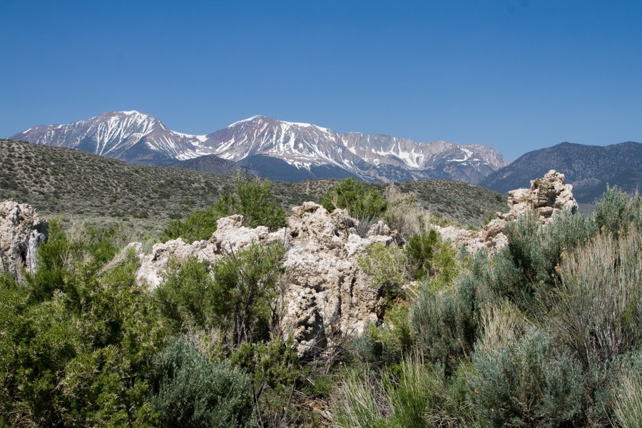 Am Mono Lake