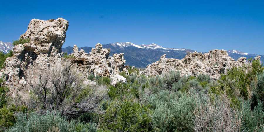 Am Mono Lake
