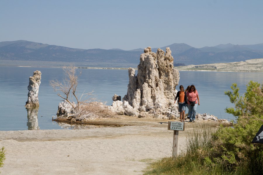 Am Mono Lake
