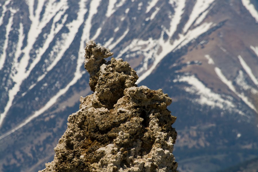 Am Mono Lake