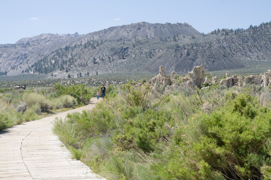 Am Mono Lake