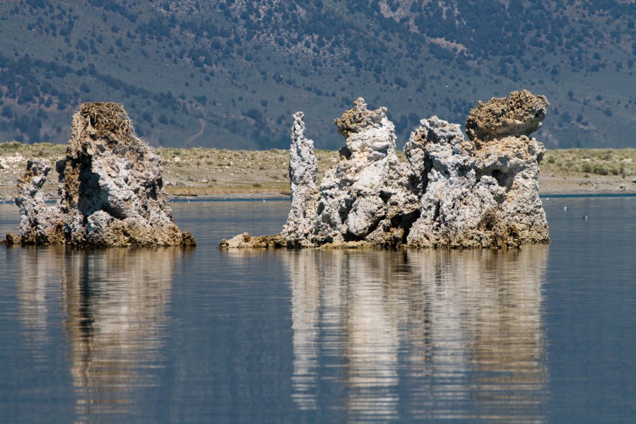 Am Mono Lake