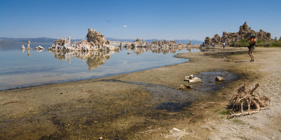 Am Mono Lake