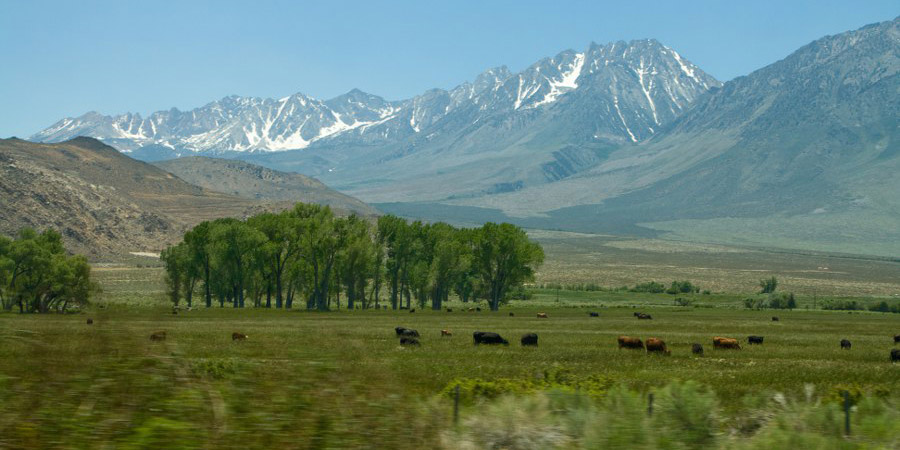 Fahrt an der Bergkette der Sierra Nevada entlang nach Süden