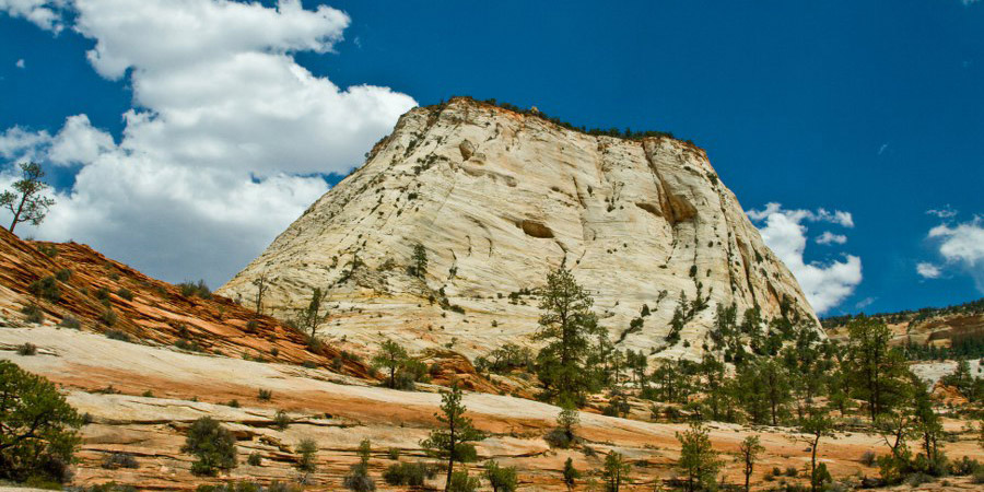 Im Zion NP