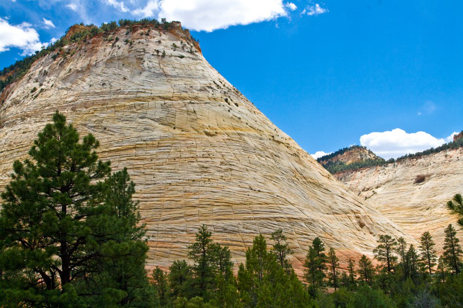 Im Zion NP