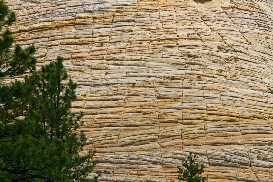 Im Zion NP