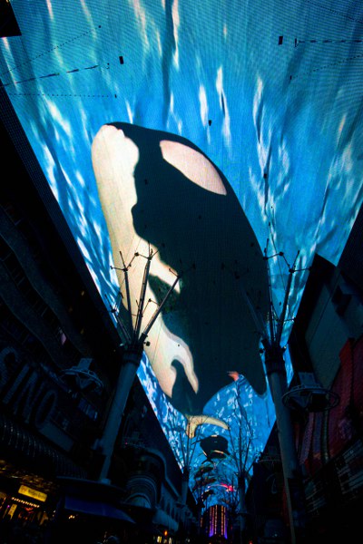 Die Experience in der Fremont Street