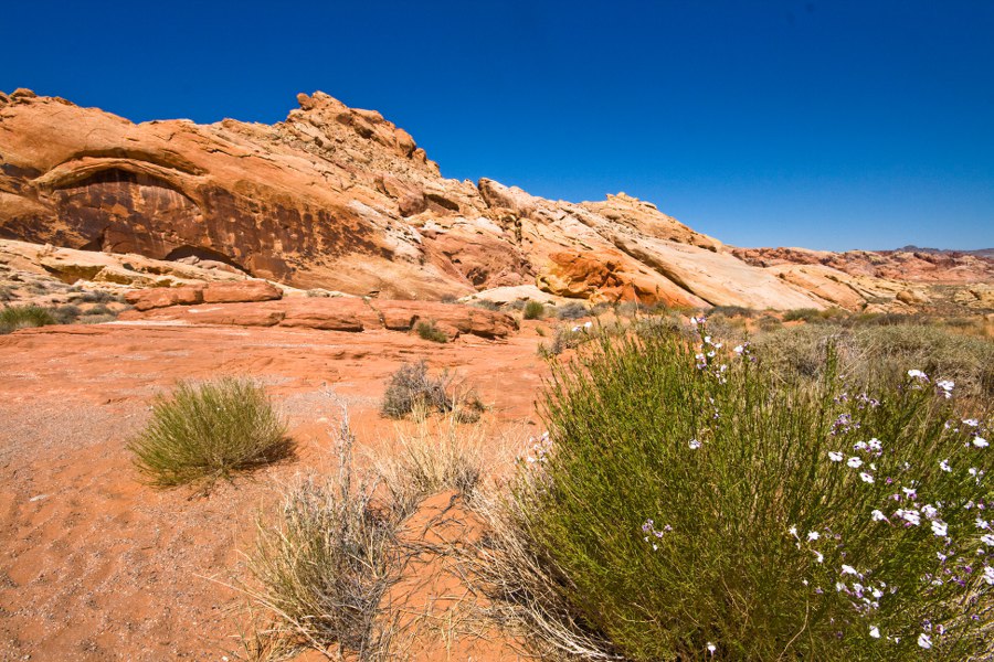 Im Valley of Fire SP