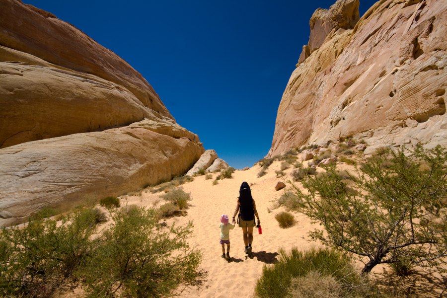 Valley of Fire SP - die White Doms