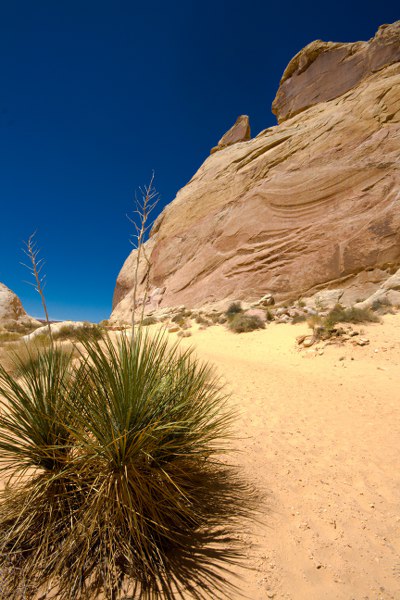 Das Valley of Fire - die White Doms mittags um 12 bei brütender Hitze