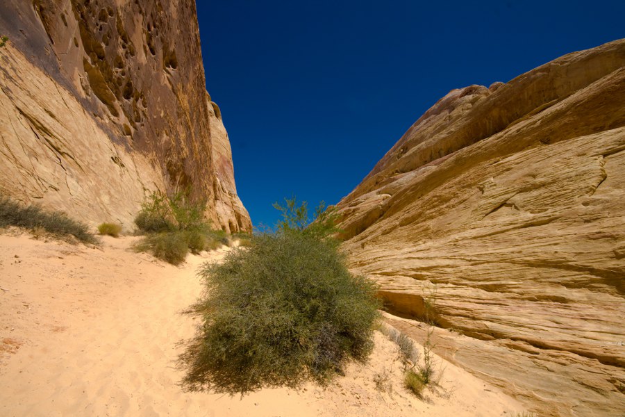 Das Valley of Fire - die White Doms mittags um 12 bei brütender Hitze