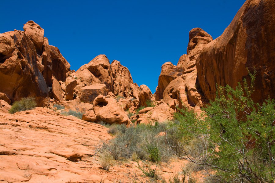Im Valley of Fire SP - Wanderung zu Mouse´s Tank bei 45 Grad Celsius
