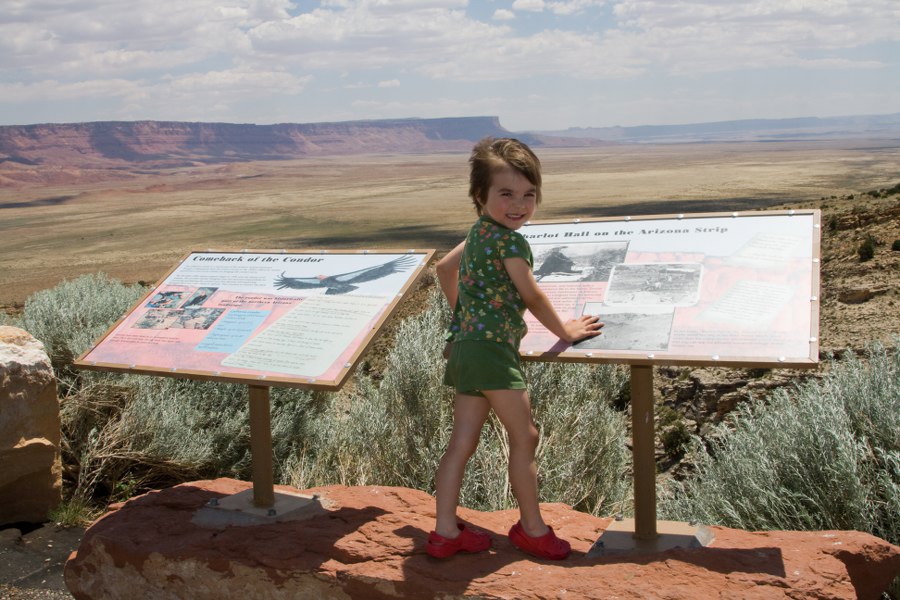 Svenja hält Ausschau nach Condoren