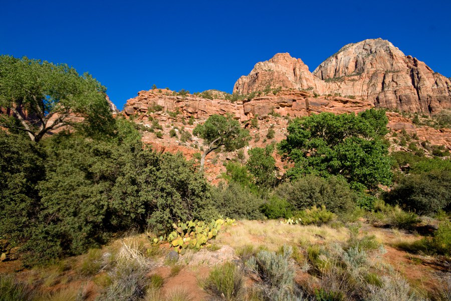 Im Zion NP