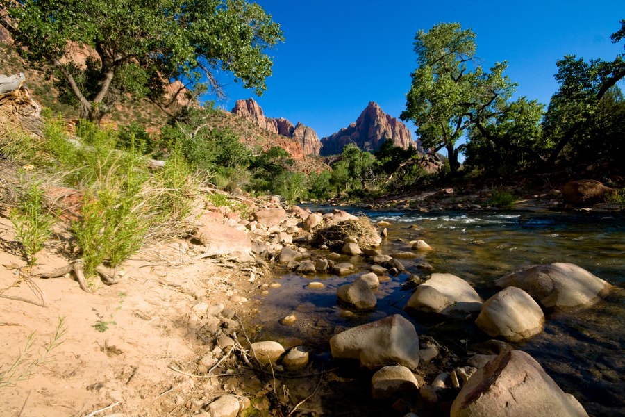 Im Zion NP