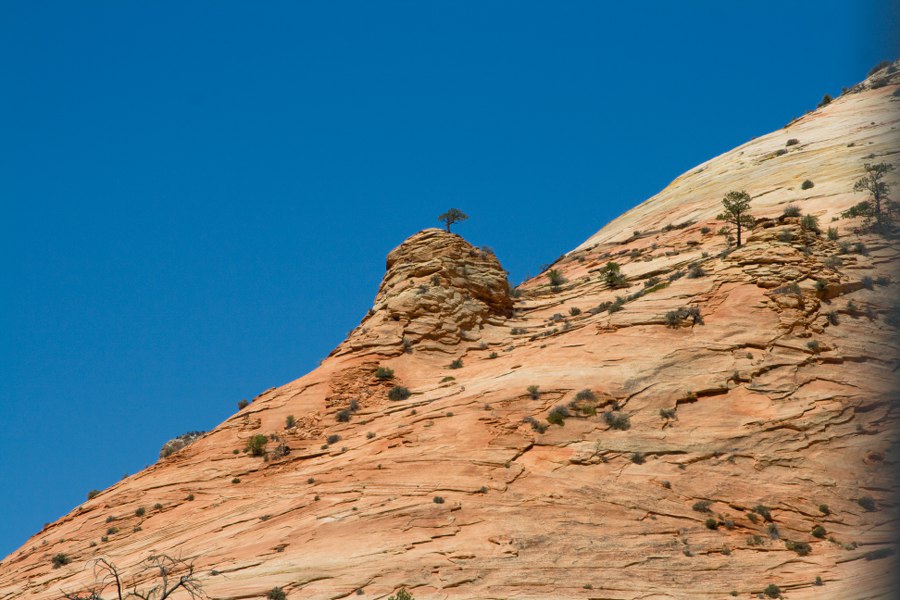 Im Zion NP