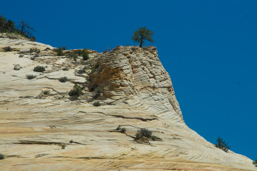 Im Zion NP