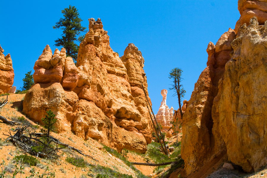 Auf dem Queens Garden Trail im Bryce Canyon NP