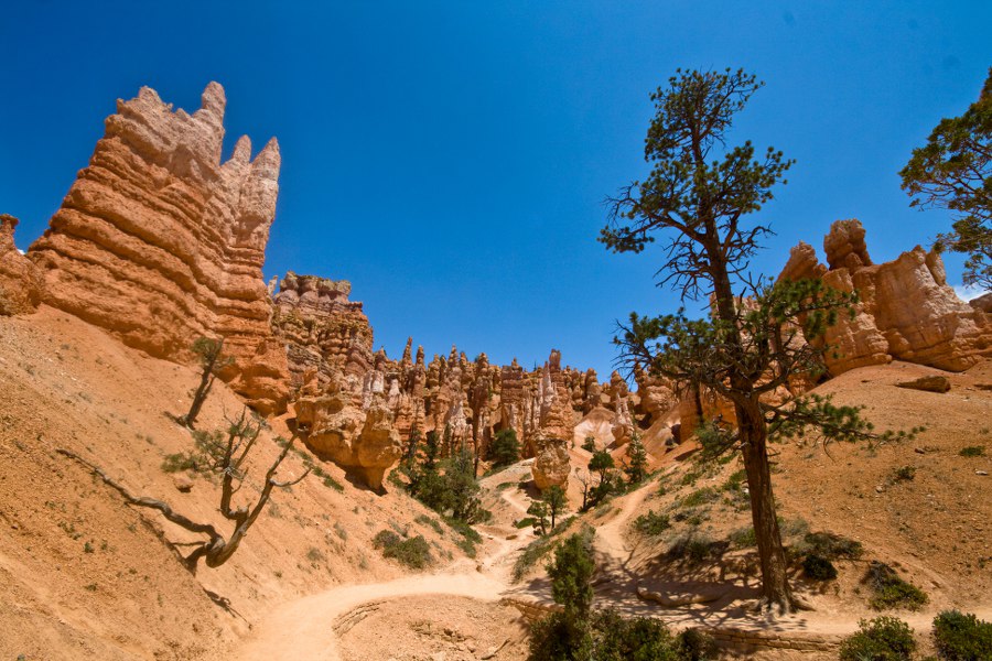 Auf dem Queens Garden Trail im Bryce Canyon NP