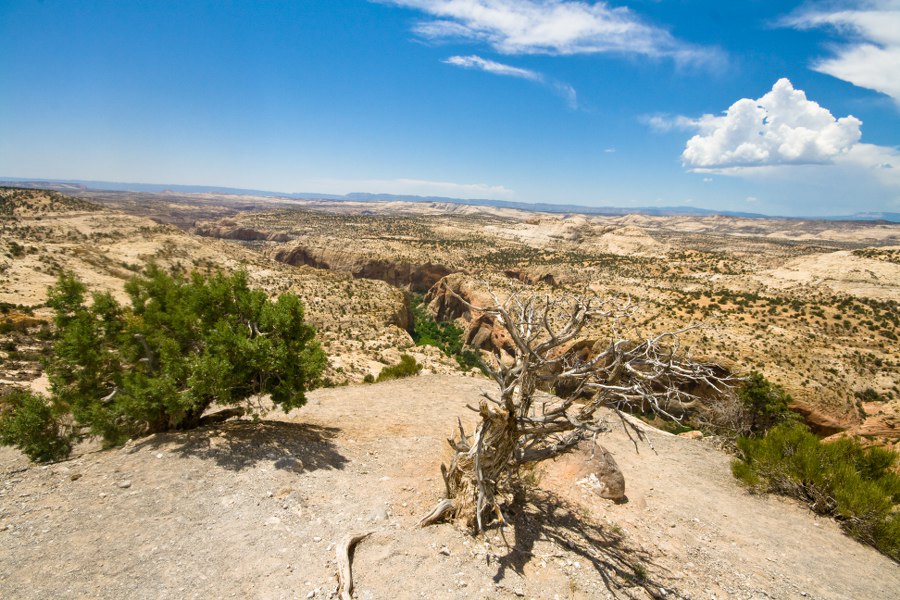 Scenic Byway 12