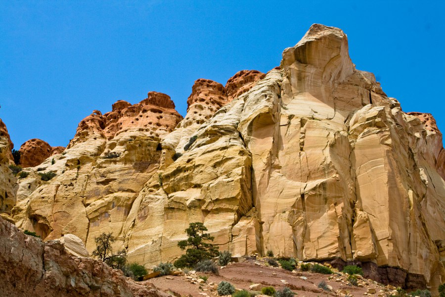Im Long Canyon