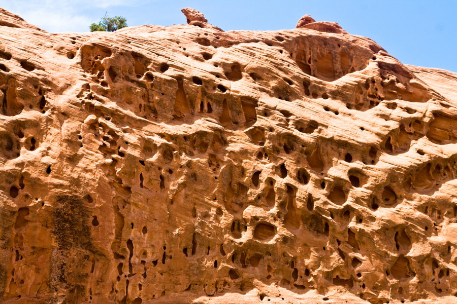 Im Long Canyon