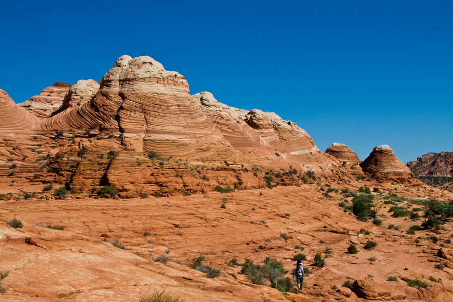 Wanderwege gibts nicht. Augen auf und durch!