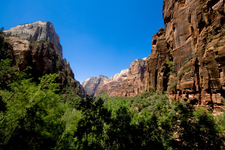Im Zion NP
