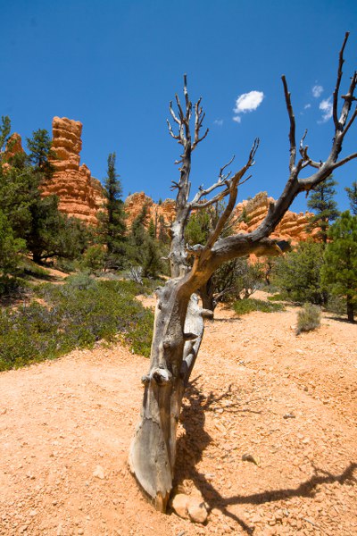 Red Canyon .. kurz vor dem Bryce Canyon NP