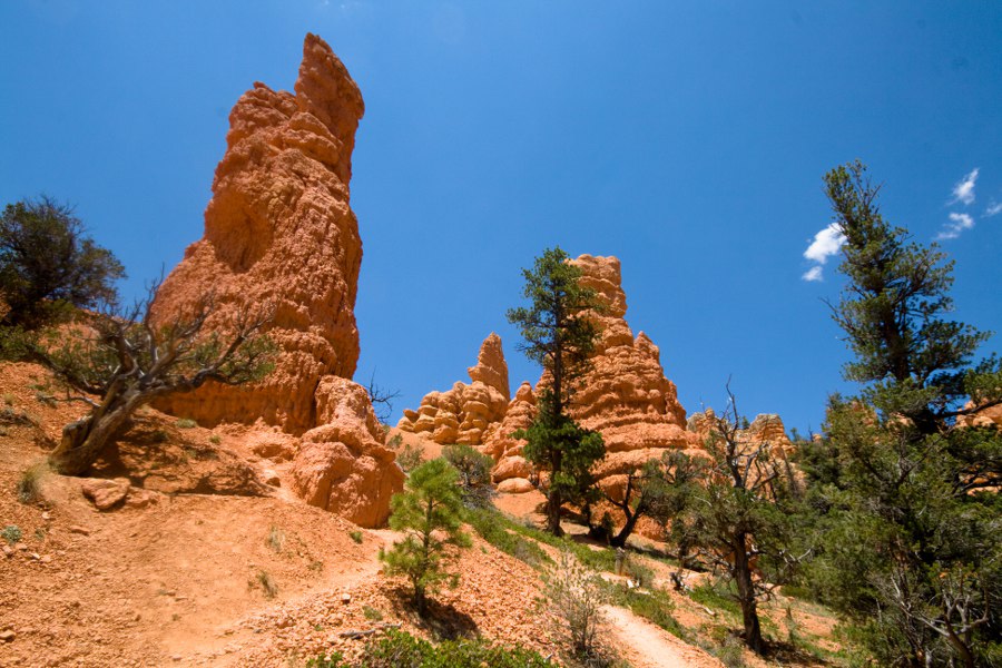Red Canyon .. kurz vor dem Bryce Canyon NP