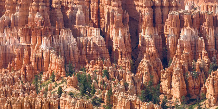 Im Bryce Canyon NP