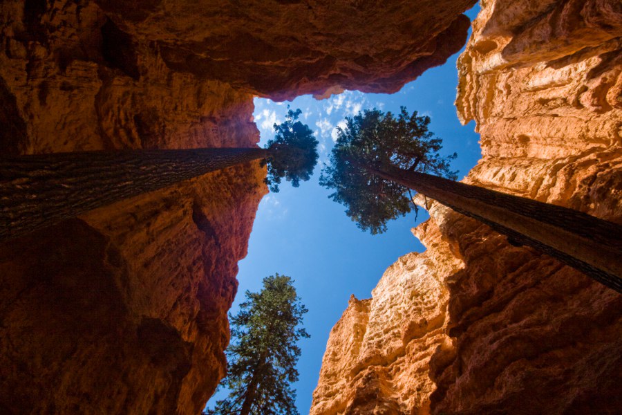 Die Wall Street im Bryce Canyon NP