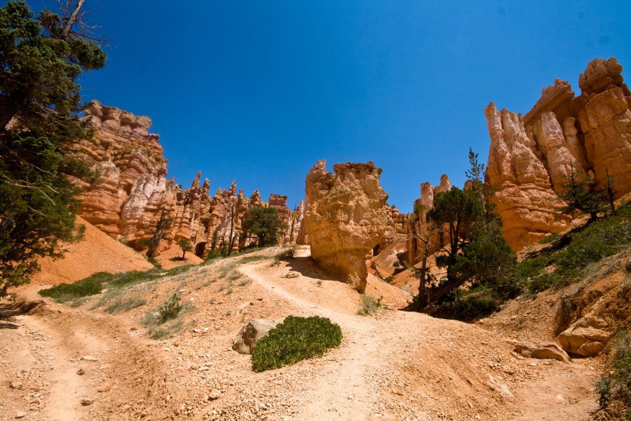Auf dem Queens Garden Trail im Bryce Canyon NP